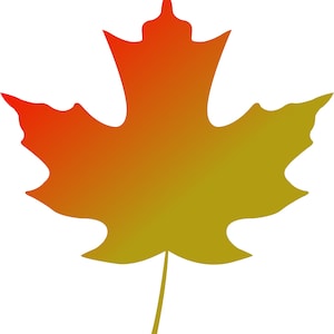 Sugar Maple Leaf Digital Vector Cut Download svg png