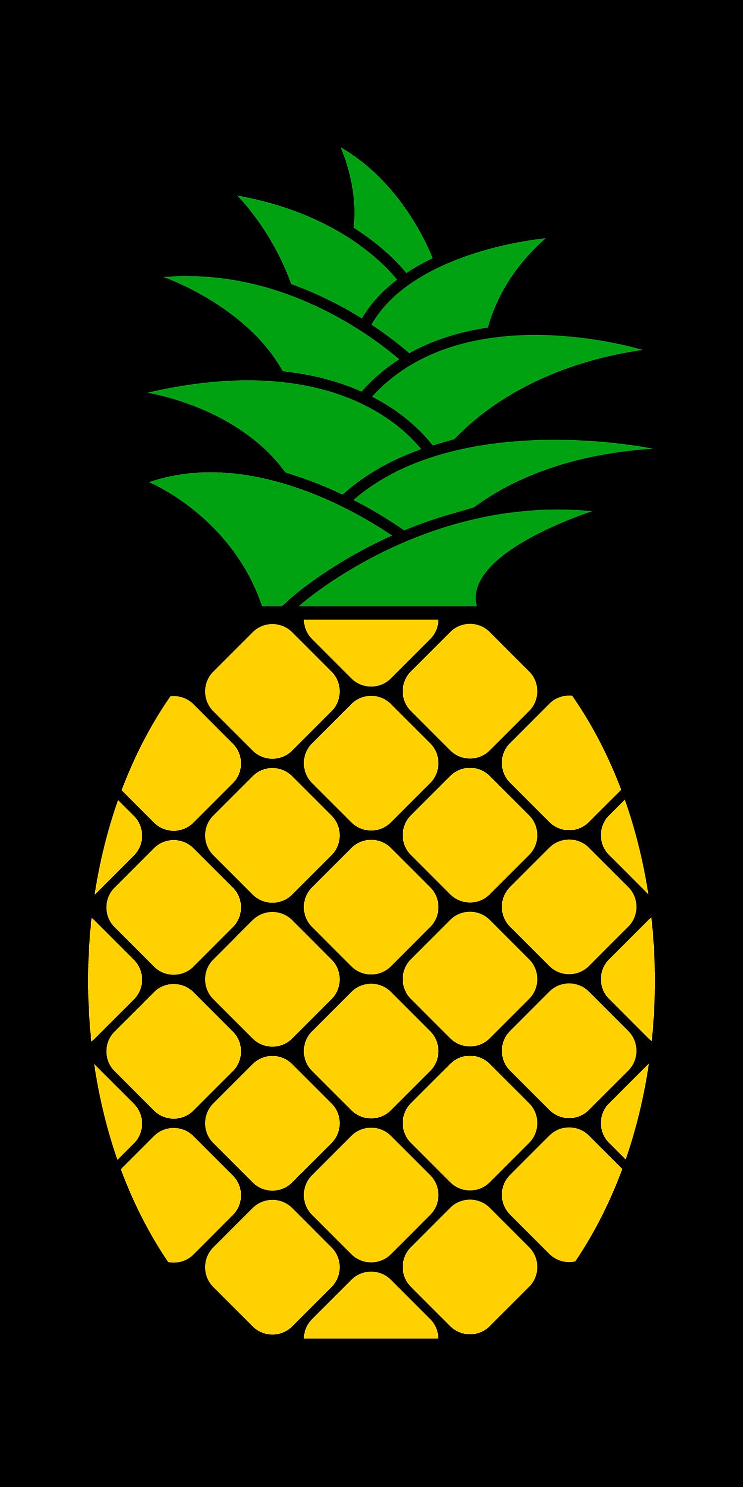 Pineapple Digital Vector Cut Download Svg Dxf Png Eps - Etsy