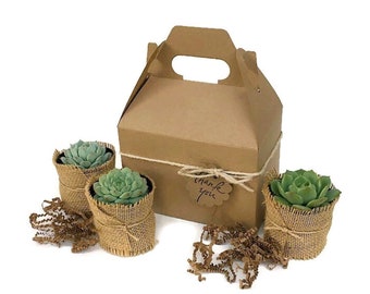 Succulent Gift Box-Garden in a Box-Personalized Gift-Gardener Gift-Corporate Gift-Birthday Gift-Housewarming-Sympathy Gift-Thank You Gift