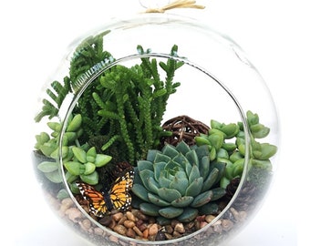 DIY Succulent Terrarium Kit, Terrarium Kit "Woodsy", Housewarming Gift, Birthday Gift, Glass Terrarium Kit, DIY Fathers Day Gift, Home Decor