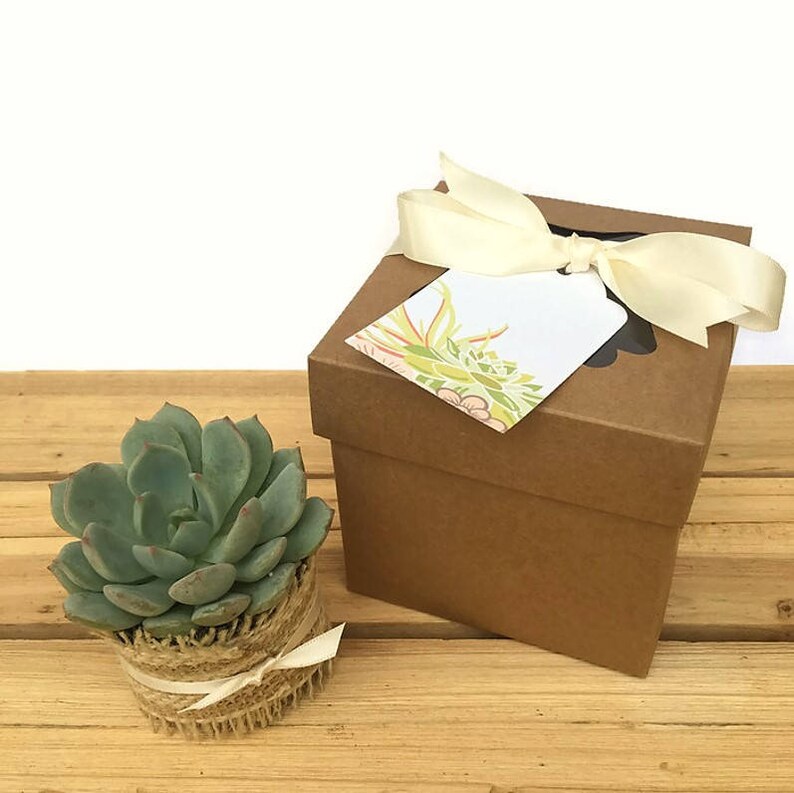 Single Succulent Gift Box-Rustic Succulent Favor-Thank You | Etsy