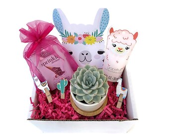 Llama Gift Box with Chocolates and Hand Lotion, Plant Gift, Succulent Gift for Her, Alpaca gift box, Llama Gifts for Girls