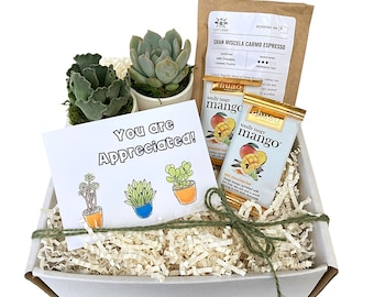 You Are Appreciated Gift Box, Employee Gift Box, Employee Appreciation Gift, Gift Basket, Company Gift, Coworker Gift, Gift from Boss