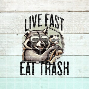 Vive rápido come basura PNG, PNG divertidos, Stay Trashy PNG, Mapache divertido Png, Zarigüeya Png, Png sarcástico, Diseños de sublimación, POD Png