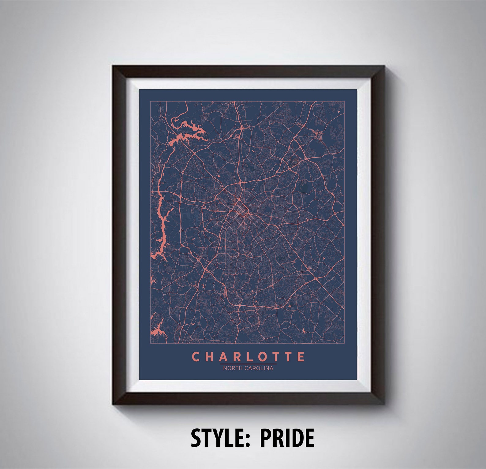 Ts 4 Rent Charlotte - 9hsfhyl