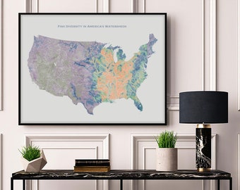 Fish Diversity in the US & Hydrological Map of Rivers and Lakes, US Fish Diversity in Watersheds Poster Map