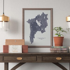 May include: A framed topographical map of the Great Salt Lake, Utah, in shades of grey, sits on a dark wood table. A small potted plant, books, and decorative boxes are arranged on the table. Two gold and glass pendant lights hang above.