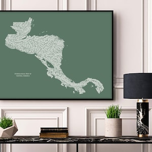 May include: A green and white hydrographic map of Central America, framed in black, hanging on a white wall above a black marble table with a lamp and plants.