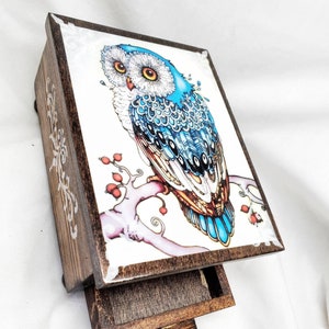 PERSONALIZED Majestic Owl Jewelry Box, with Mirror & Drawer Jewelry Organizer, Personalized Gift for mom, Owl Decor image 6