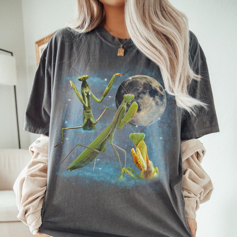 Puede incluir: Camiseta gris oscuro con un gr&aacute;fico de tres mantis religiosas frente a una luna llena y un cielo estrellado. Las mantis son verdes y amarillas. La camiseta tiene mangas cortas y un corte holgado.