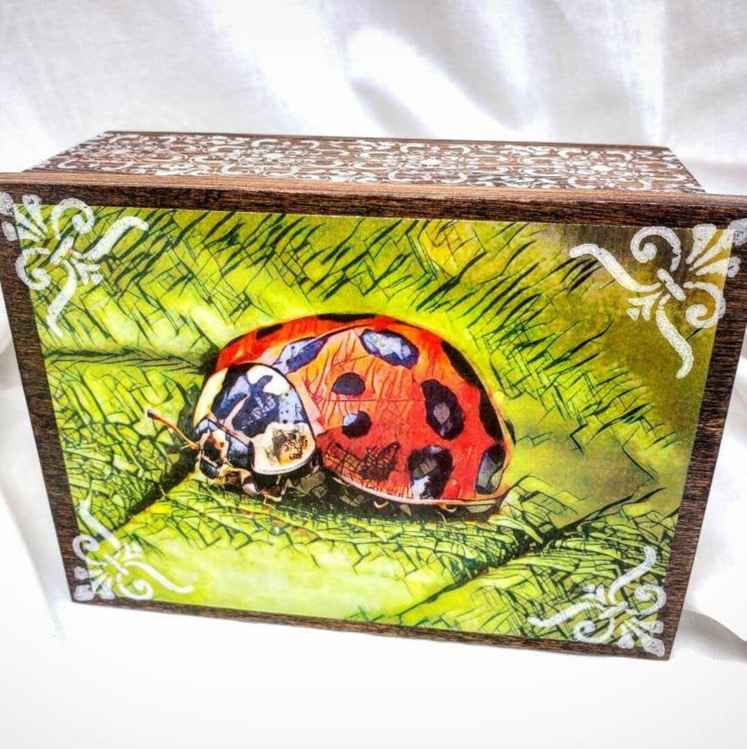 PERSONALIZED Ladybug Jewelry Box With Mirror & Drawer Jewelry Organizer