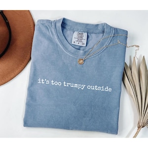 May include: A blue Comfort Colors t-shirt with the phrase "it's too trumpy outside" in white text. A gold necklace with a pendant rests on the shirt. A brown hat and dried plant are in the background.