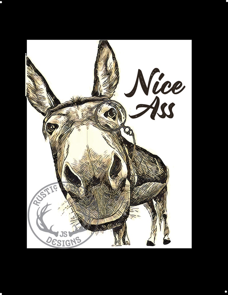 PRINTABLE Nice Ass bathroom sign, vintage colour, Farmhouse Sign, DIGITAL Funny art, Gifts for the Home, Funny Gifts, funny bathroom sign 