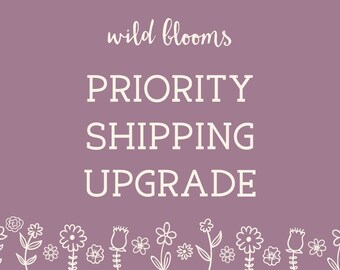 USPS Priority Mail Shipping Upgrade