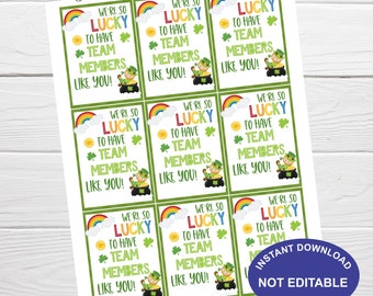 St. Patrick's Day Printable Tag Lucky To Have Team Members Like You, Appreciation Gift Tag, Download, Volunteer Staff Employee Coworker