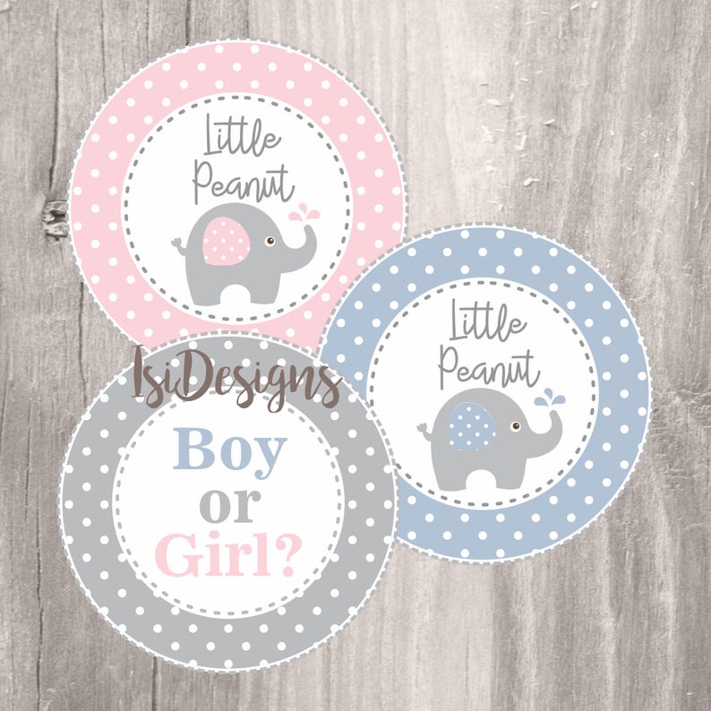 Elephant Baby Shower Printable Centerpieces Gender Reveal Etsy