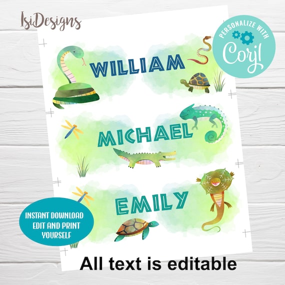 EDITABLE Desk Name Labels, Cubby Label, Name Tags, Back to School Printable, Classroom