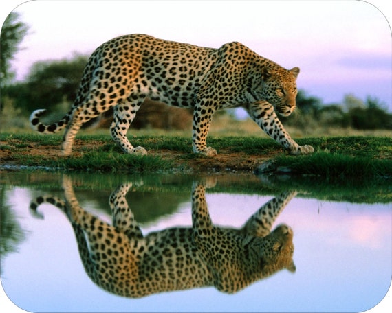 Animal Leopard Print Art Rubber Mouse Mat PC Mouse Pad