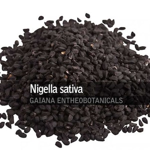Organic Black Cumin Seeds, 100% Nigella sativa seeds, All Natural black caraway, Black Cumin, nigella or kalonji Seeds, FREE SHIPPING!!