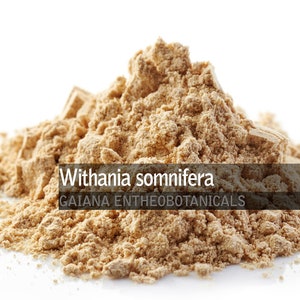 Poudre d'Ashwagandha de qualité supérieure, 100 % racine de Withania somnifera, Poudre de racine d'Ashwaganda biologique, Aphrodisiaque à base de plantes, Booster de libido, LIVRAISON GRATUITE