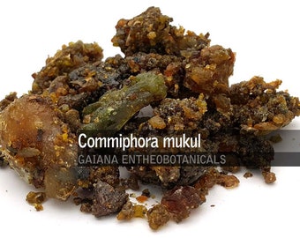Guggul, resina di Commiphora mukul pura al 100%, incenso naturale, albero di bdellium indiano, Gugal, Gugul o albero di mirra Mukul, Guggulipid