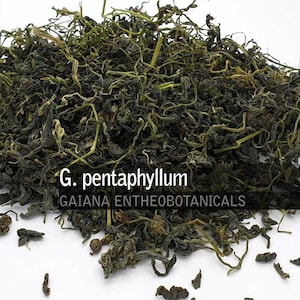 Premium Jiaogulan whole, Gynostemma pentaphyllum, 100% Organic Jiaogulan leave whole, jiǎogǔlán, 绞股蓝, Natural Herbal Tea, FREE SHIPPING