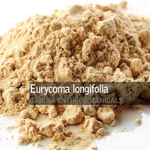 Tongkat Ali Root Powder, Eurycoma longifolia Longjack, herbal aphrodisiac Organicly Grown, All Natural Libido Booster