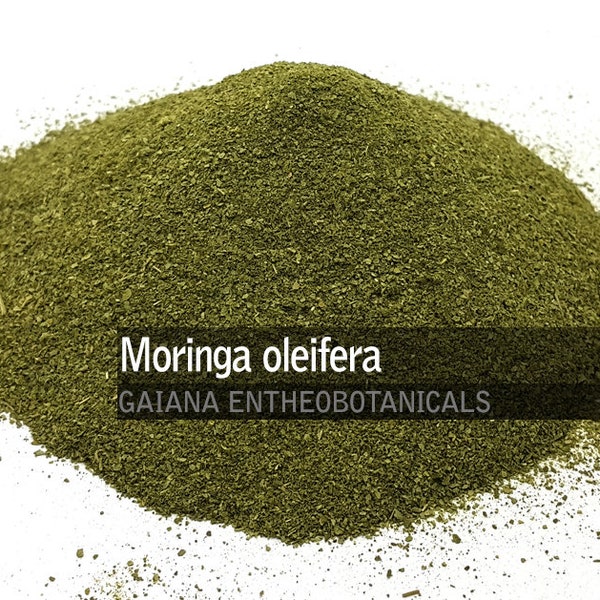 Moringa Pulver, Moringa oleifera, Wunderbaum, Trommelstockbaum, Meerrettichbaum, Ben Tree, Benölbaum, Benzölbaum, 100% BIO, KOSTENLOSER VERSAND