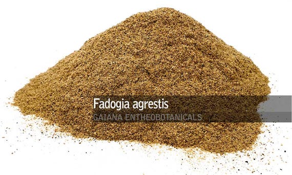 Fadogia Agrestis Root Powder, Black Aphrodisiac, Bakin Gagai