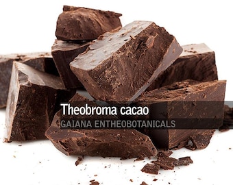 Peruvian Ceremonial Cacao Paste, Organic Theobroma cacao Criollo Cacao, Premium Grade Cacao paste Liquor, Raw BIO Non-GMO Cacao Chunks