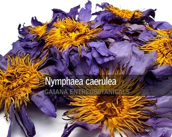 250 gr blauwe lotusbloemen, premium Nymphaea caerulea, biologisch geteelde hele bloemen, Egyptische lotus, heilige blauwe lelie, GRATIS VERZENDING