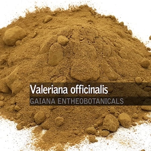 Organic Valerian Root Powder, Valeriana officinalis Root Powder, All Natural Premium Valerian Root, FREE SHIPPING