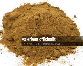 Organiskt valerianarotpulver, Valeriana officinalis rotpulver, helt naturlig premiumvalerianarot, FRI FRAKT