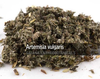 Bio Beifuß, Artemisia vulgaris, Premium Beifuß ganz aka wilder Beifuß, KOSTENFREIER VERSAND
