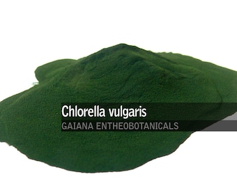 BIO-chlorellapoeder, 100% chlorella vulgaris, premium biologisch chlorella-algepoeder, volledig natuurlijk supplement GRATIS VERZENDING