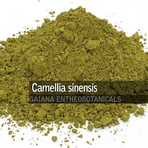 Organic Matcha Powder, Camellia sinensis powder, 100% BIO, Shade-grown tea leaves, , Matcha tea, All Natural superfoods FREE SHIPPING
