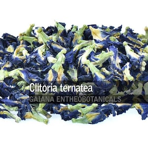Pode incluir: Flores secas de ervilha borboleta azul, também conhecidas como Clitoria ternatea, para fazer chá. As flores são de um azul vibrante e têm um sabor ligeiramente doce.