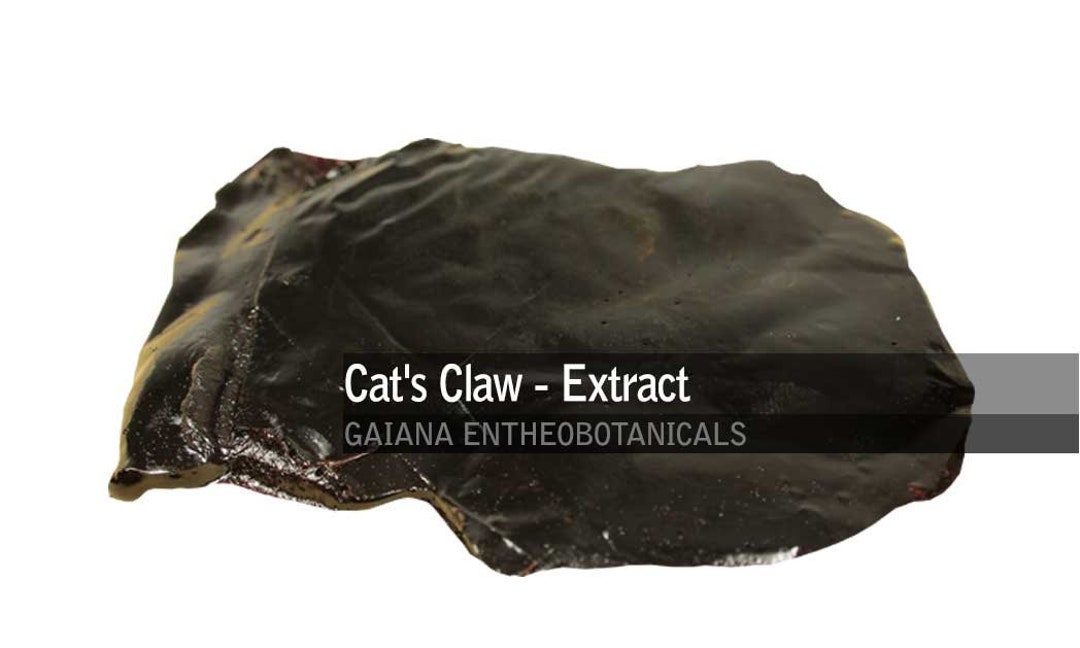 Premium Cat’s Claw 60:1 Extract, 100% Pure Uncaria Tomentosa, Water ...
