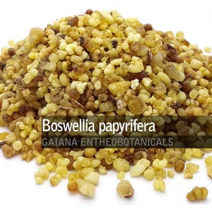 Frankincense Gold, Boswellia papyrifera Resin, 100% Pure All Natural Golden Frankincense Incense, Olibanum Gum, FREE SHIPPING