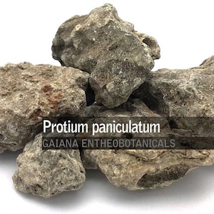 Peruvian Copal Black, 100% Pure Protium paniculatum Resin, Black Copal, All Natural Ceremonial Incense FREE SHIPPING