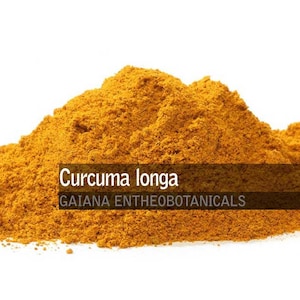Organic Curcuma Powder, 100% Curcuma longa Root powder, Bio Turmeric powder, Premium Kurkuma Root, Yellow Root, FREE SHIPPING!
