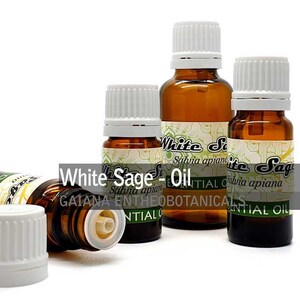Può includere: Quattro bottiglie di vetro marrone con tappi bianchi e contagocce riempite di olio di salvia bianca. Le bottiglie hanno etichette con il testo "White Sage - Oil" e "Salvia apiana" stampato su di esse. Le bottiglie sono su uno sfondo bianco.