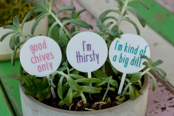 You grow girl plant stake/gardening stake Il_570xn