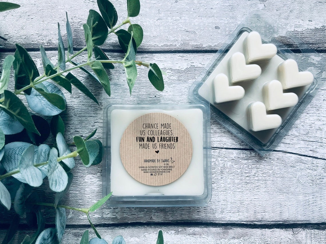 Soy wax meltsfunny wax melts colleague gift funny women Etsy