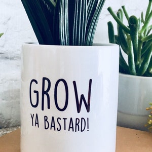 Plant pot, planter, cactus pot, Rude gift, gift for women, funny plant pot, gift for her, friend birthday gift, swear, funny gift for friend