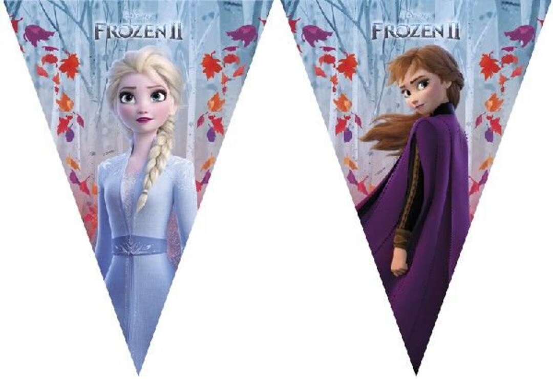 Frozen Triangle Bunting Plastic Frozen Party Bunting Frozen - Etsy UK