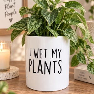 Plant pot, planter, cactus pot, christmas gift, gift for women, funny plant pot, gift for her, friend birthday gift, funny gift, crazy plant