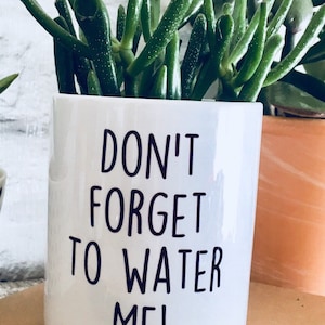Plant pot, planter, cactus pot, christmas gift, gift for women, funny plant pot, gift for her, friend birthday gift, funny gift, crazy plant