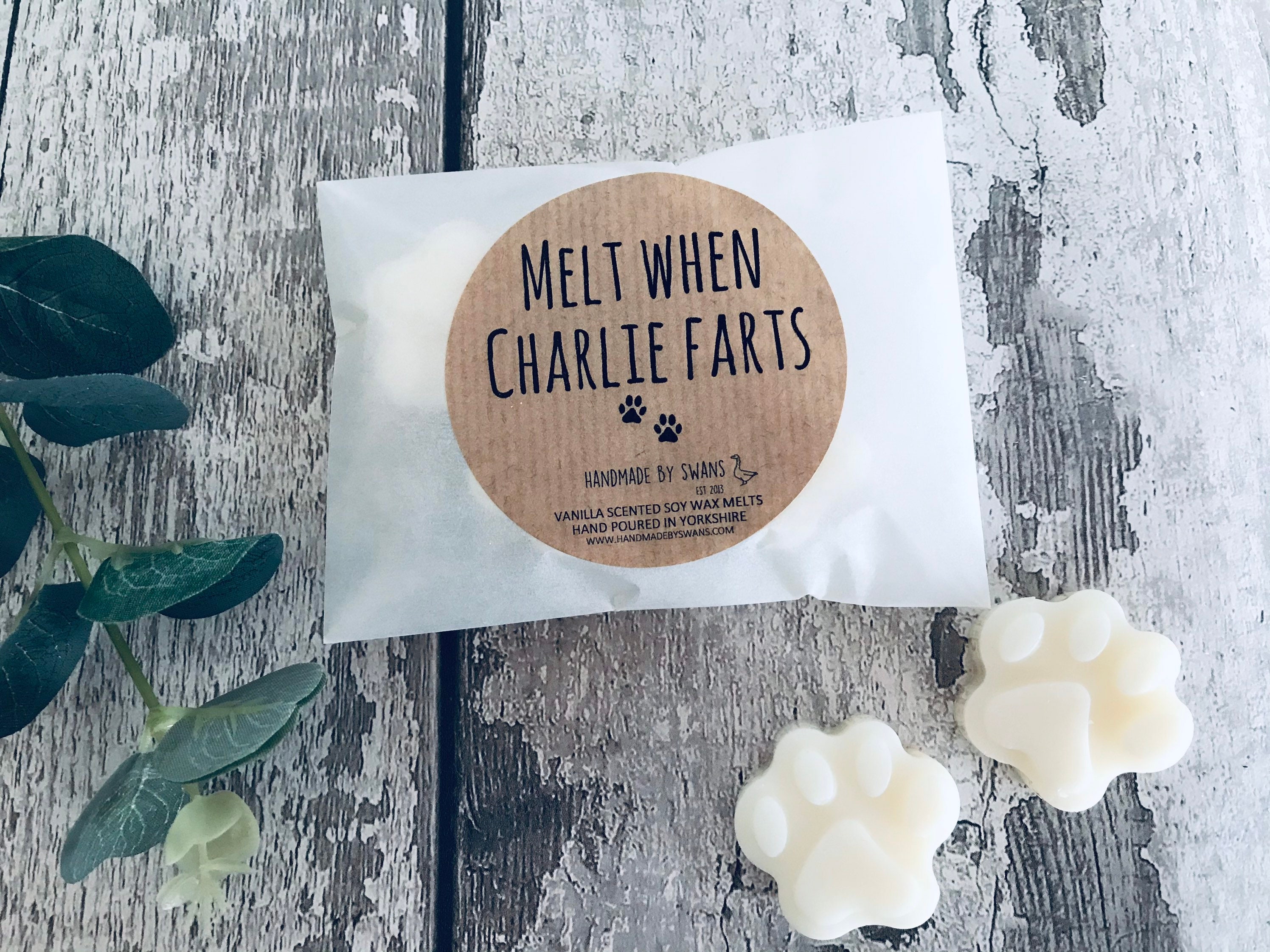 Soy wax meltFunny dog wax melts funny women gift Joke Etsy