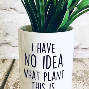Plant pot, planter, cactus pot, Rude gift, gift for women, funny plant pot, gift for her, friend birthday gift, swear, funny gift for friend